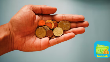 vayonline-im-cash.png