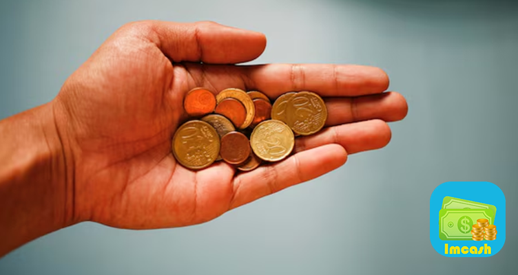vayonline-im-cash.png